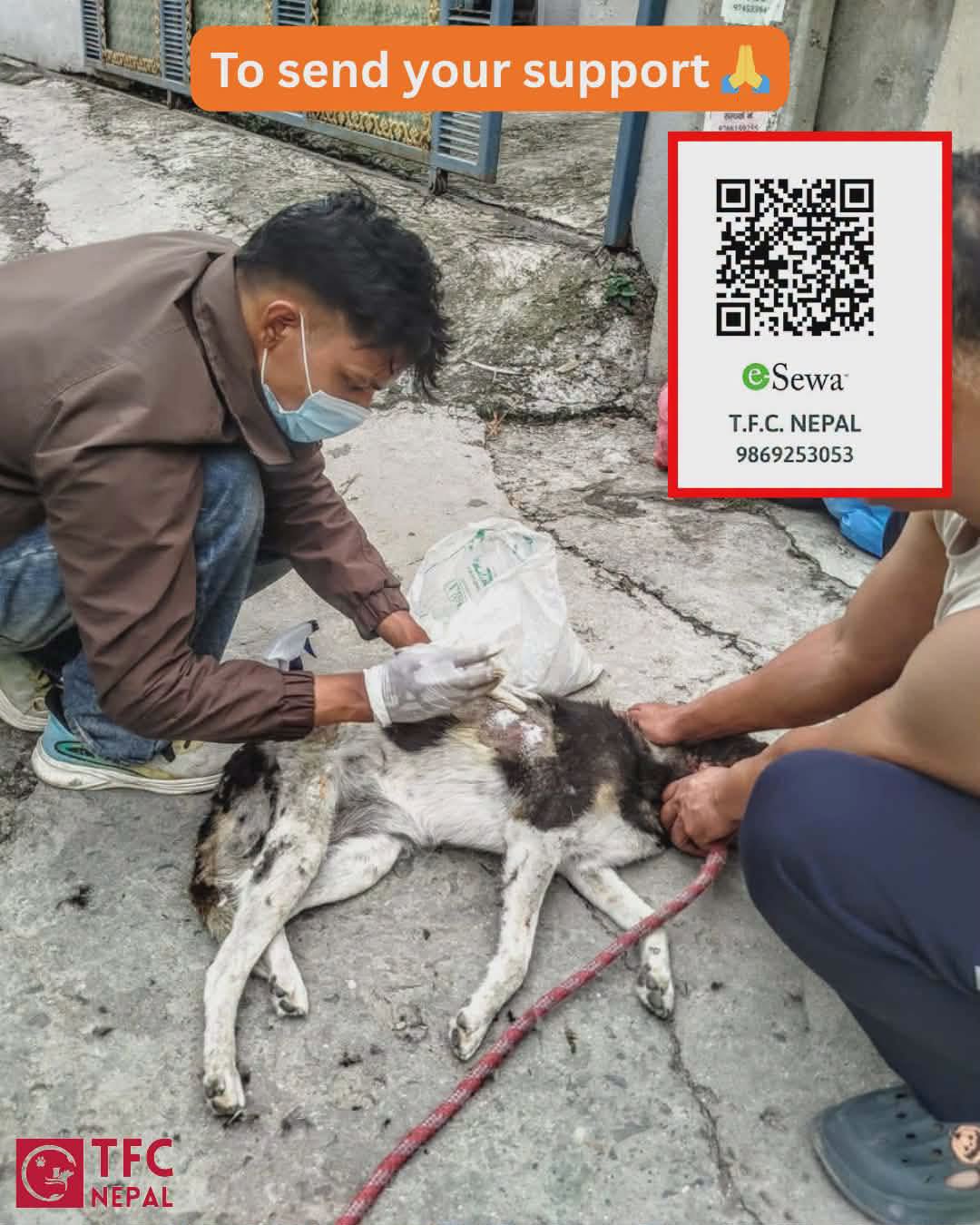 TFC Nepal rescue volunteer holding a rescued animal